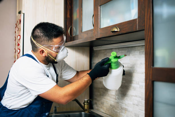 Best Pest Control for Homes  in Lone Tree, IA