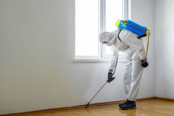 Best Emergency Pest Control  in Lone Tree, IA