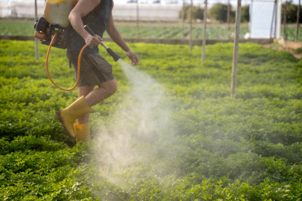Best Affordable Pest Control Services  in Lone Tree, IA