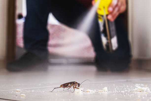 Professional Pest Control in Lone Tree, IA
