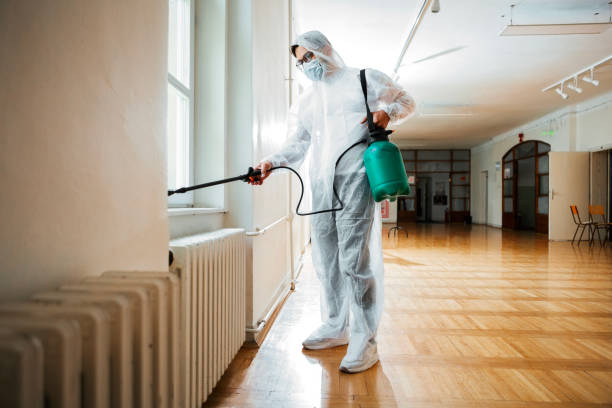 Best Affordable Pest Control Services  in Lone Tree, IA