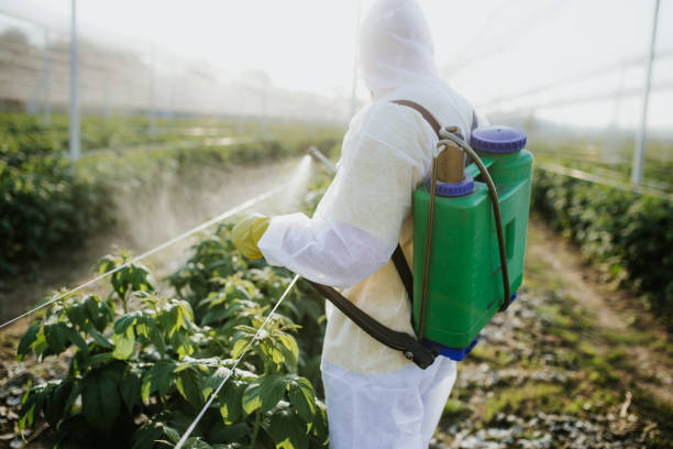 Best Pest Control Near Me in Lone Tree, IA